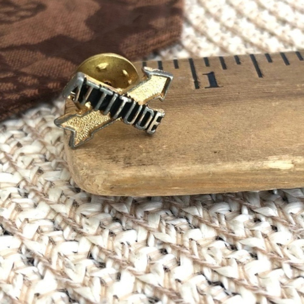 Vintage Attitude Pin